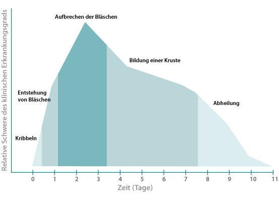 Stages of a fever blister outbreak