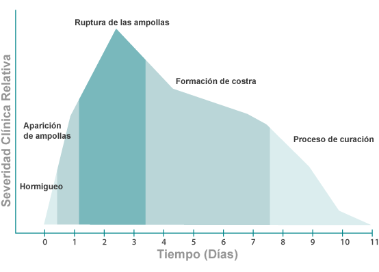 Fases de un brote de herpes labial