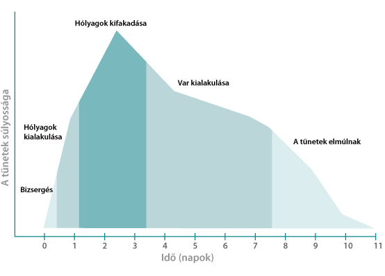 Stages of a fever blister outbreak