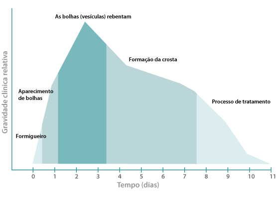 Stages of a fever blister outbreak