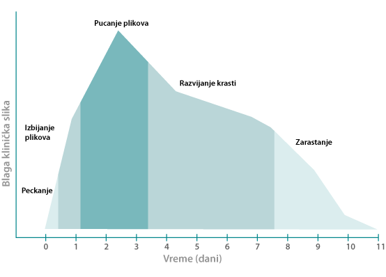 Stages of a fever blister outbreak