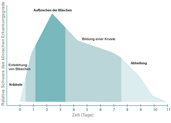 Stages of a fever blister outbreak